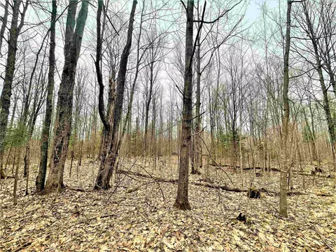 5 Acres Tower Rd, Phillips, WI 54555 photo 6