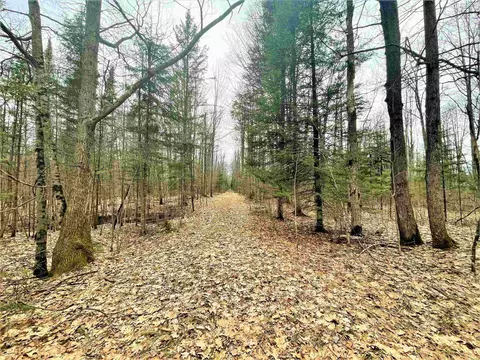 5 Acres Tower Rd, Phillips, WI 54555 photo 5