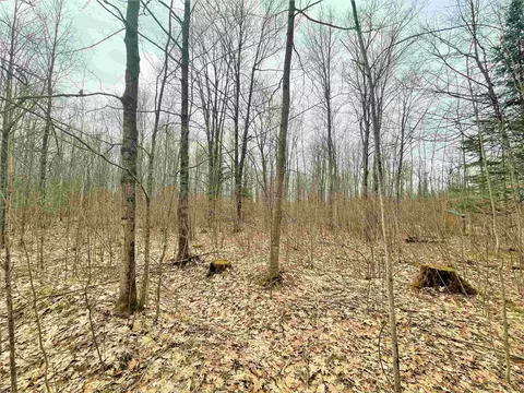 5 Acres Tower Rd, Phillips, WI 54555 photo 8