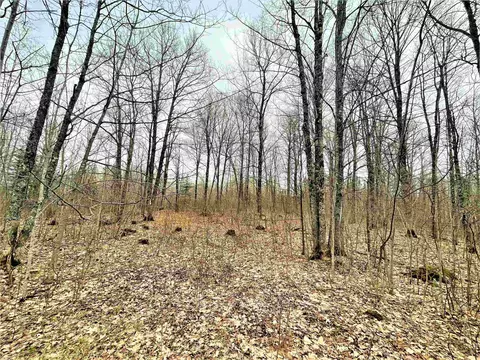 5 Acres Tower Rd, Phillips, WI 54555 photo 12