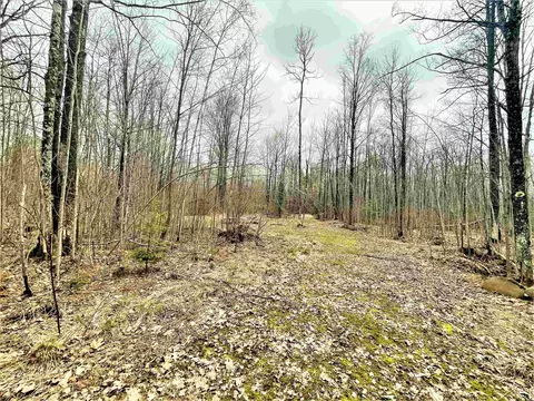 5 Acres Tower Rd, Phillips, WI 54555 photo 11
