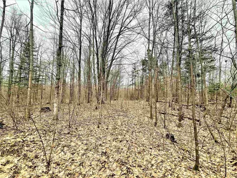 5 Acres Tower Rd, Phillips, WI 54555 photo 7