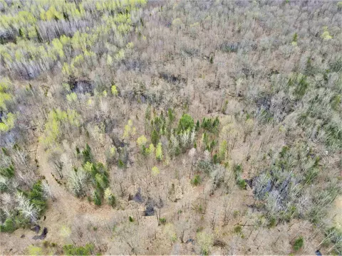 5 Acres Tower Rd, Phillips, WI 54555 photo 16