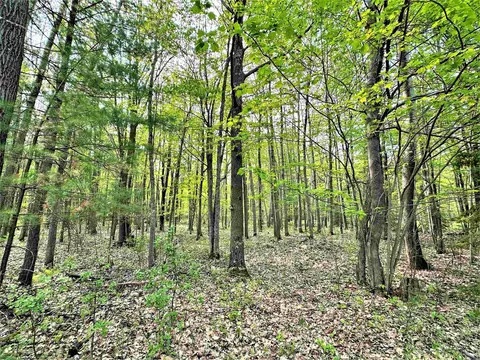 n9453 East Solberg Lake Road, Phillips, WI 54555 photo 8