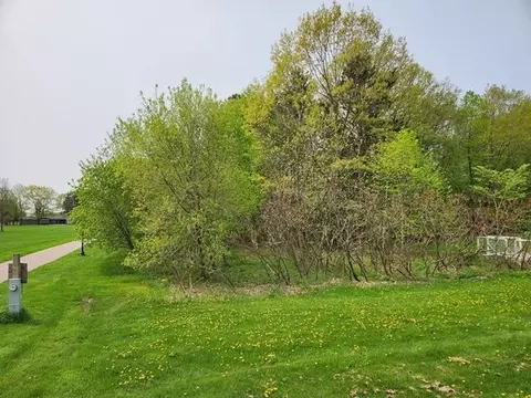 lot8 3rd St, Pittsville, WI 54466