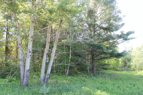 3 07 Acres State Highway 13, Medford, WI 54451