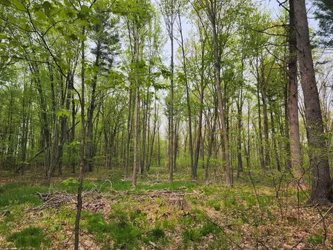Dexter Wood Road, Pittsville, WI 54466