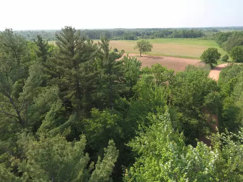 Lot B 40 Acres Dewey Drive, Stevens Point, WI 54482