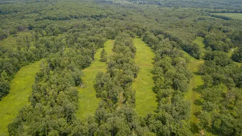 0 Dickerson Ave, Willard, WI 54493