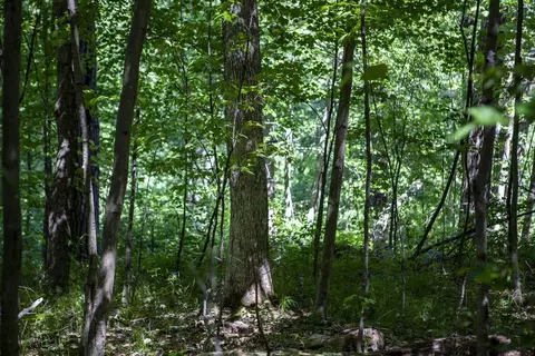80 Acres County Road V, Deerfield, WI 54943