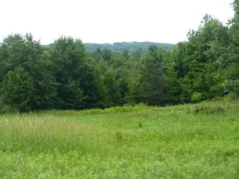 Sec 9 Gorman Avenue, Willard, WI 54493