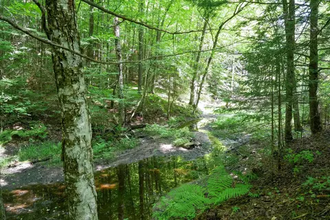 18 5 Acres County Road C, Ogema, WI 54459