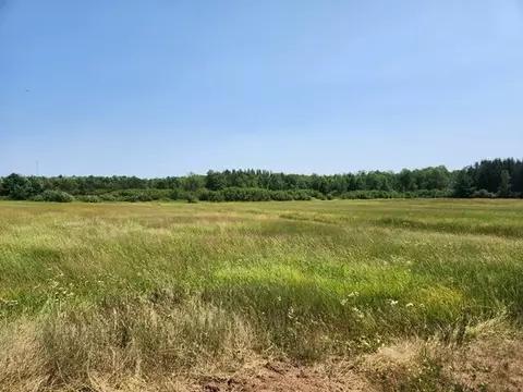 7654 Robin Rd, Marshfield, WI 54449 photo 34