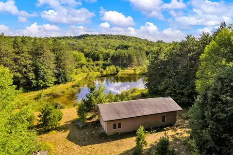 10298 Dabrowski Ln, Pittsville, WI 54466