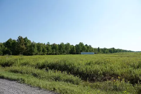 000 Timber Dr, Medford, WI 54451