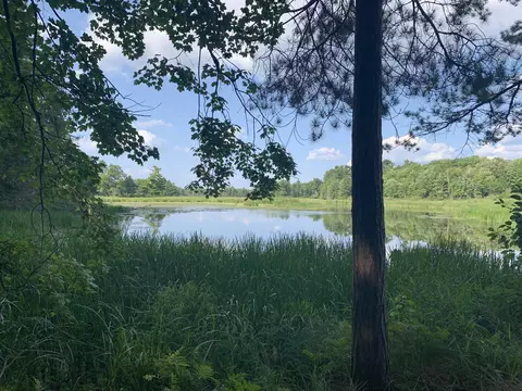 7 86 Acres County Road Y, Custer, WI 54423