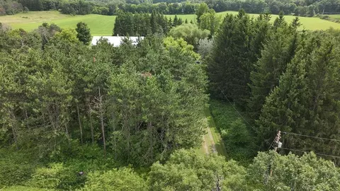 8239 Hillcrest Rd, Custer, WI 54423 photo 7
