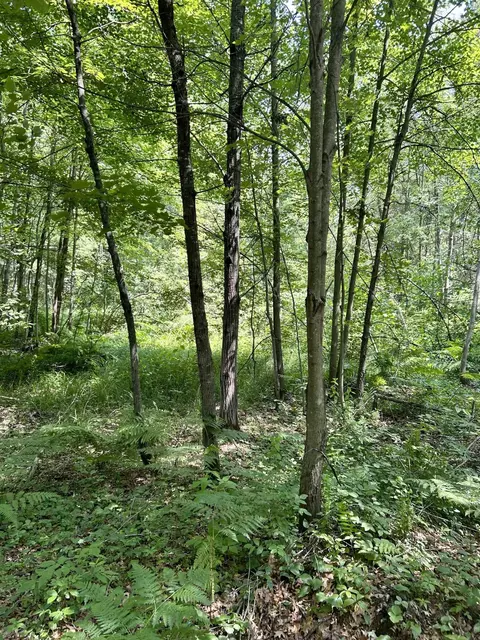 7819 State Highway 54 W, Wisconsin Rapids, WI 54495 photo 6