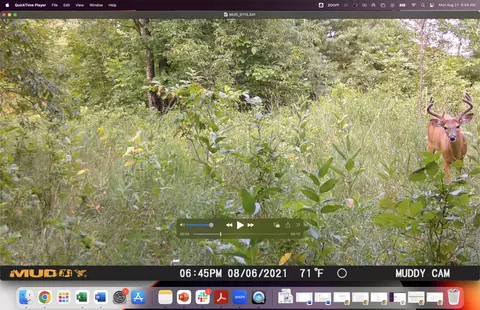 Fatla Road, Armstrong Creek, WI 54103