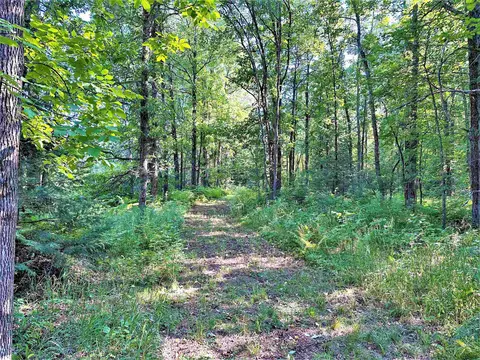 On County Road D, Phillips, WI 54555 photo 8
