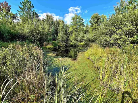 On County Road D, Phillips, WI 54555 photo 3