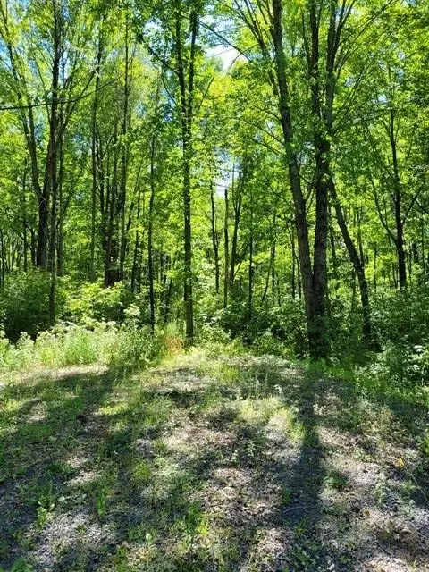 Bluff Drive, Pittsville, WI 54466