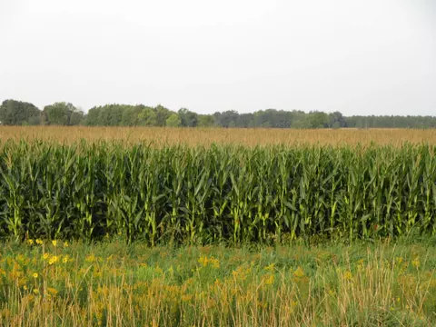 State Highway 73, Neillsville, WI 54456