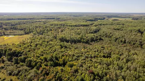 160 Acres Birch Dr, Mosinee, WI 54455