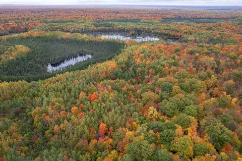000 Wood Lake Ave, Rib Lake, WI 54470