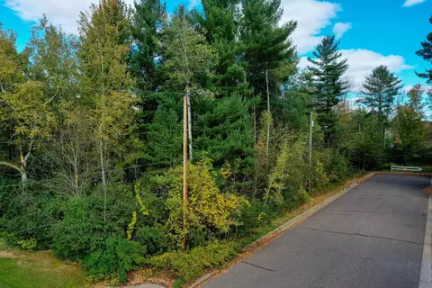 58 Acres Pine St, Medford, WI 54451