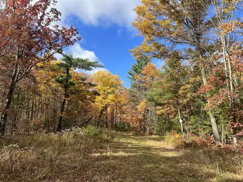 40 Acres Sandhill Ave, Granton, WI 54436