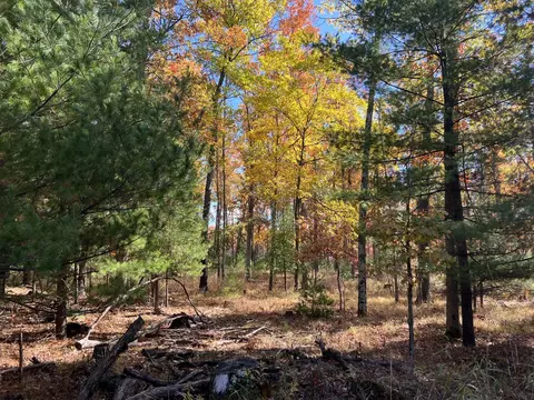 39 Acres Sandhill Ave, Granton, WI 54436
