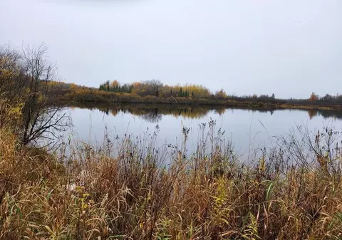 Old Mill Road, Brantwood, WI 54513