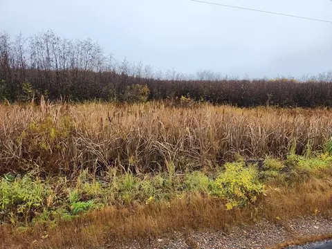 County Road D, Brantwood, WI 54555