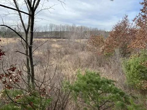 63 Acres Mol Beranek Rd, Mosinee, WI 54455
