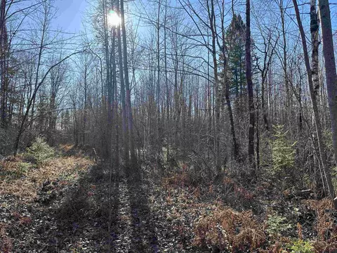 0 Forks Rd, Merrill, WI 54452