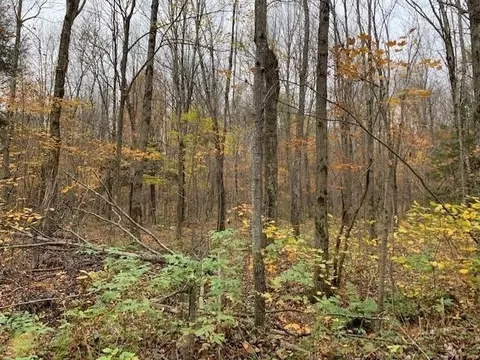 80 Acres No Name Rd, Merrill, WI 54452