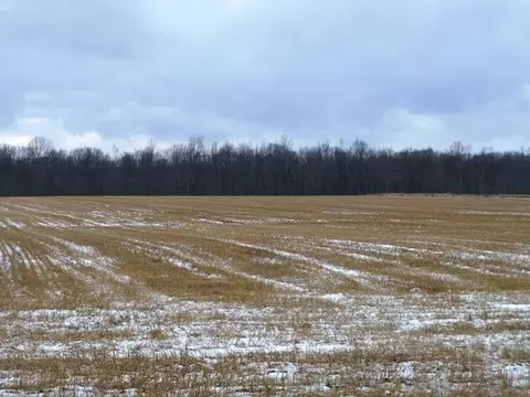 W6720 Century Road, Greenwood, WI 54437