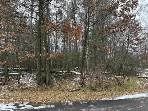 Lot 12 Birch Street, Stevens Point, WI 54481