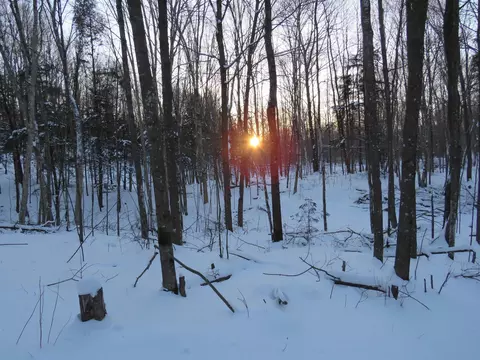 0000 Polar Rd, Polar, WI 54418