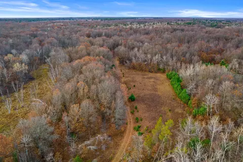 40 Acres Hines Rd, Babcock, WI 54413