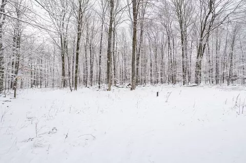 View/Area - 175261 Bambi Dr, Ringle, WI 54471 photo 2 of 7