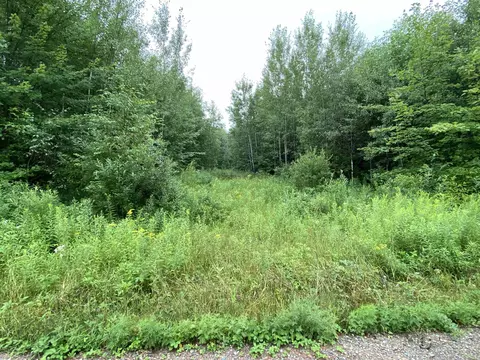On Joe Snow Road, Merrill, WI 54452