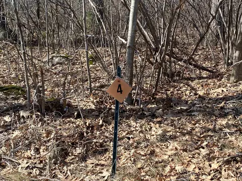 Lot 4 Acorn Ridge Road, Mosinee, WI 54455