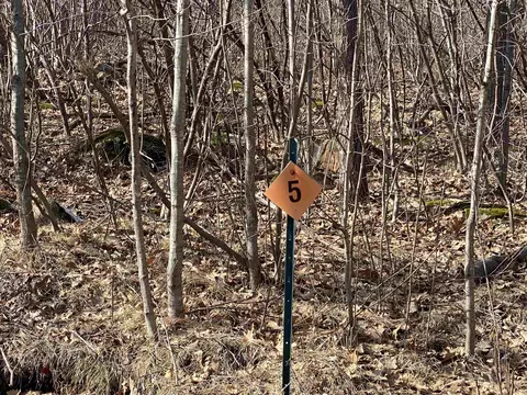 Lot 5 Acorn Ridge Road, Mosinee, WI 54455