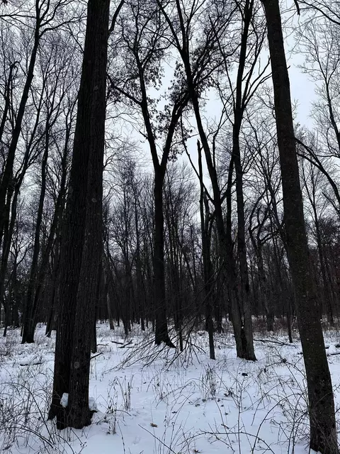 10 Acres Ninth St, Stevens Point, WI 54481