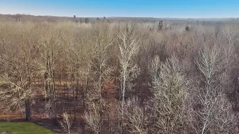 View/Area - 225505 Nazda Rd, Hatley, WI 54440 photo 8 of 8