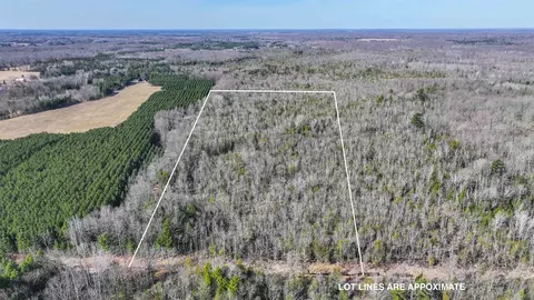 Pulaski Road, Rosholt, WI 54473
