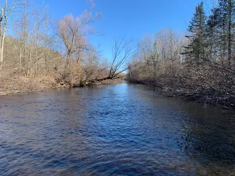 n5441 River Road, Rib Lake, WI 54470