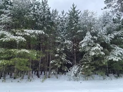 Lot 27 Doris Drive, Woodruff, WI 54568